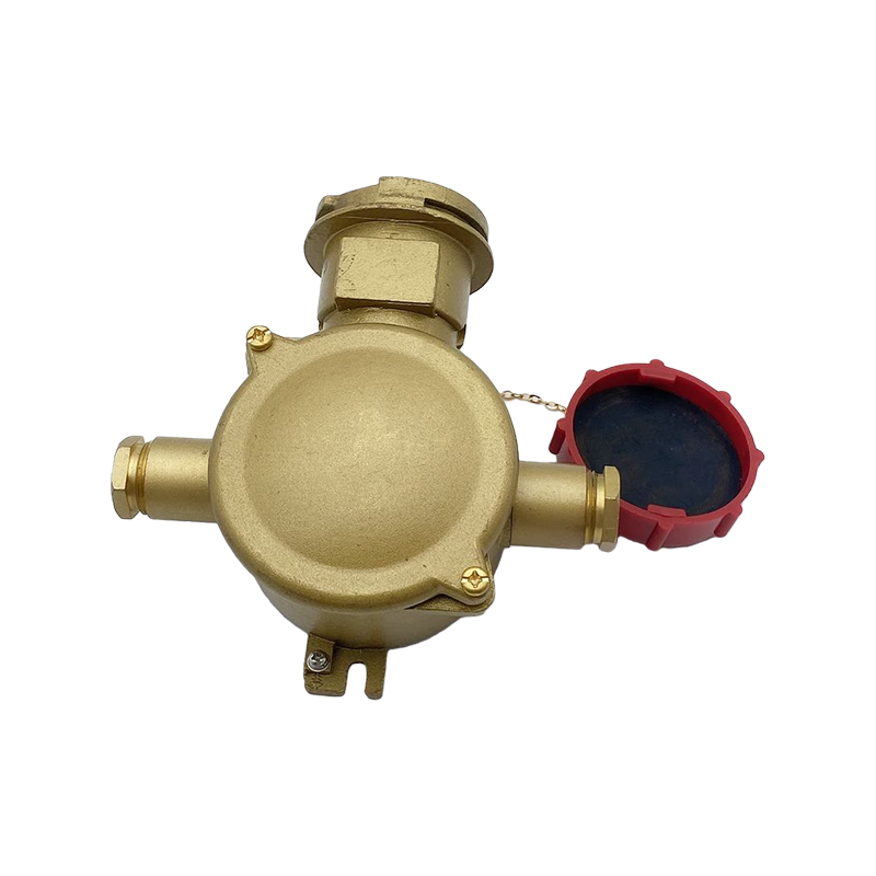 Tomada Elétrica de Latão com Interruptor de Intertravamento-CZS3-2 1I4